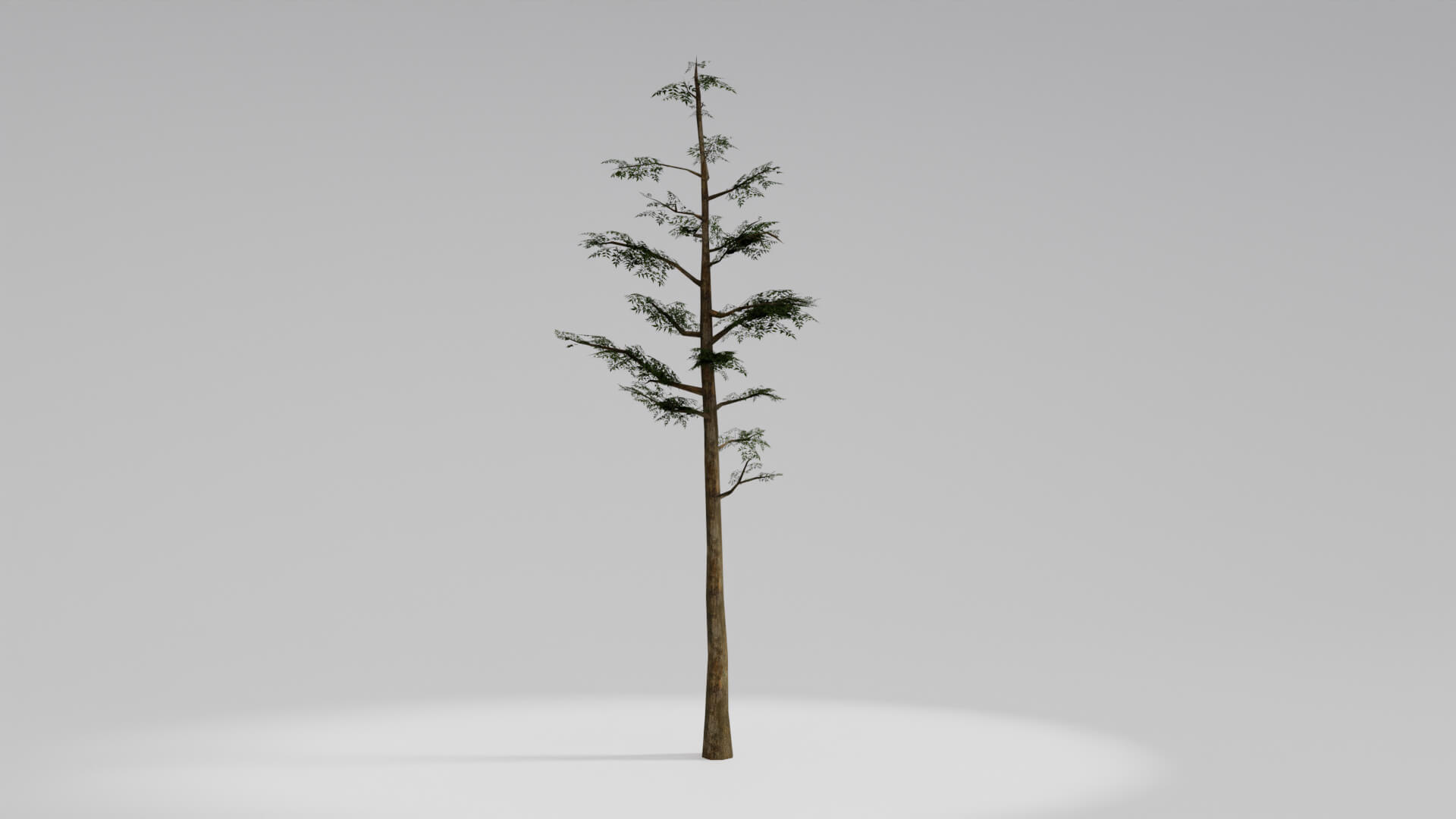 Resident Evil Tropical Plant 3D Model