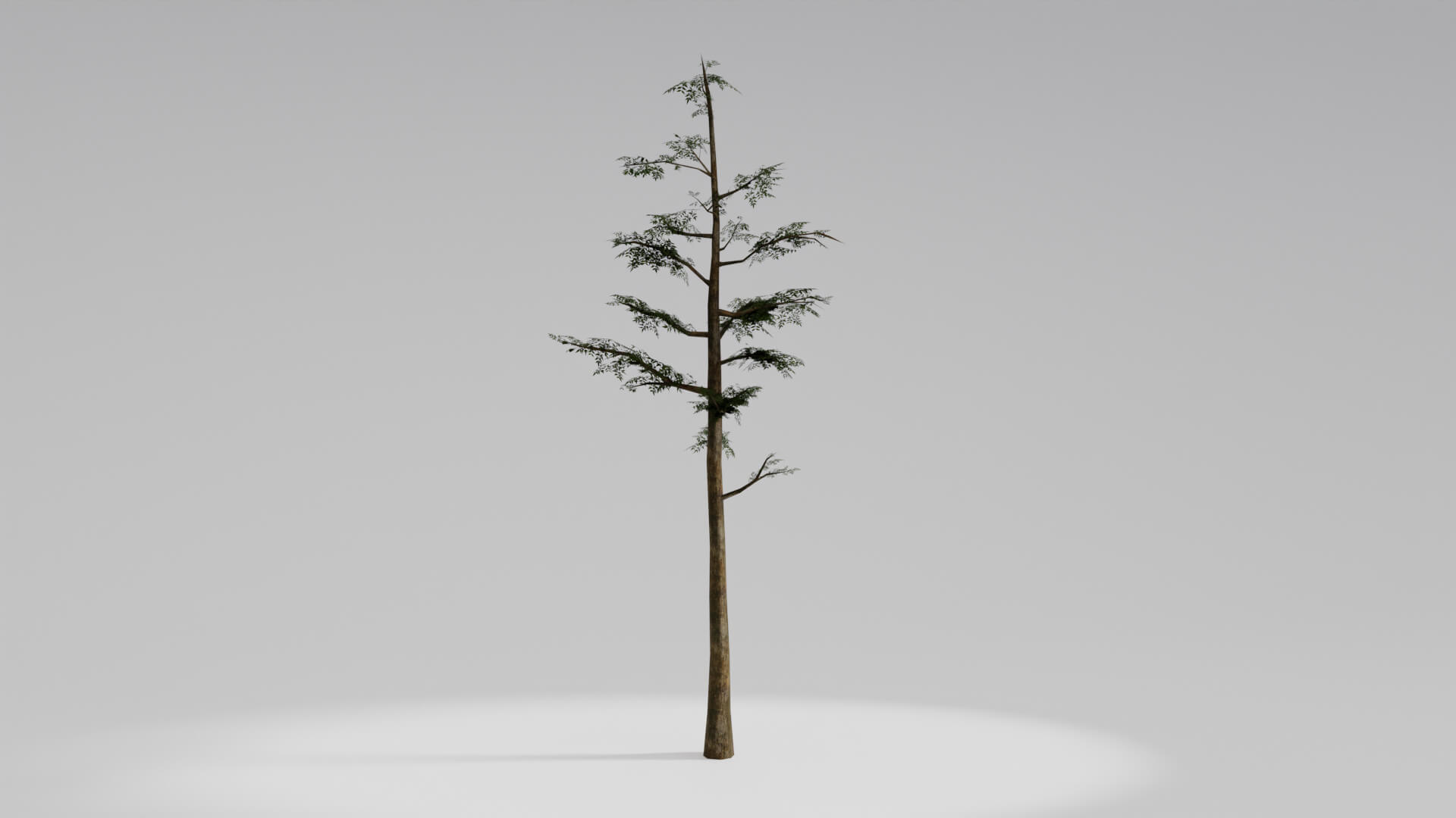 Resident Evil Tropical Plant 3D Model