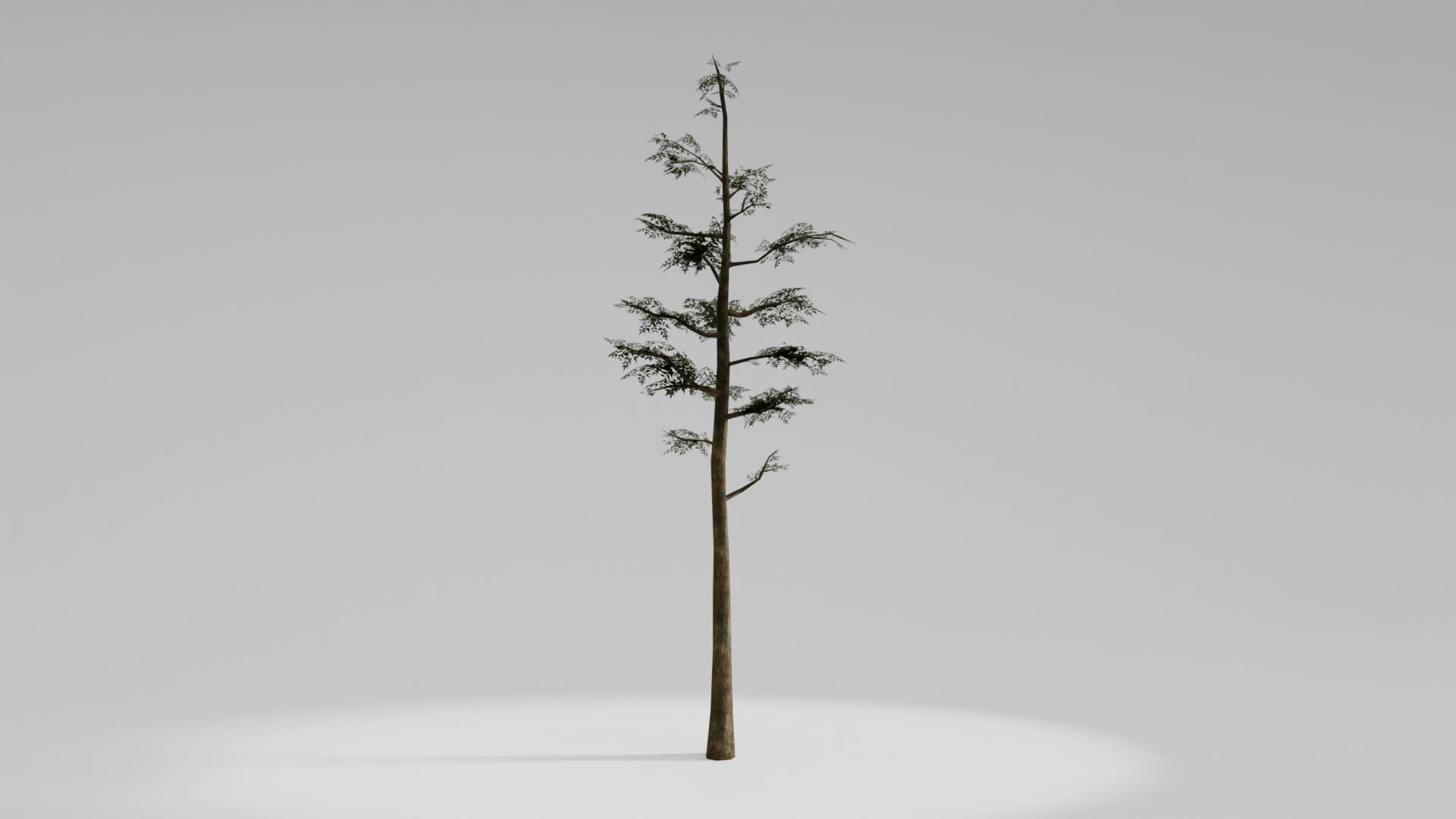 Resident Evil Tropical Plant 3D Model