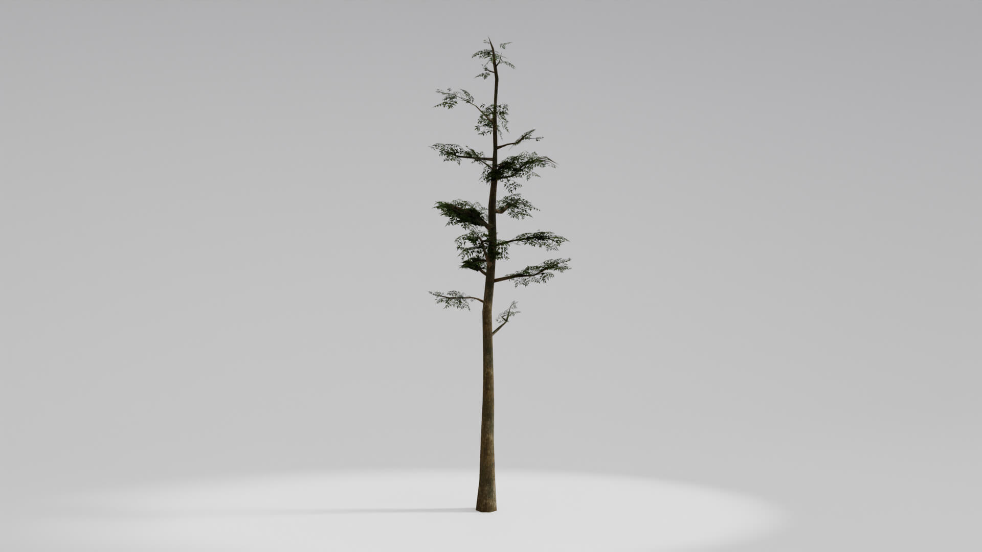 Resident Evil Tropical Plant 3D Model