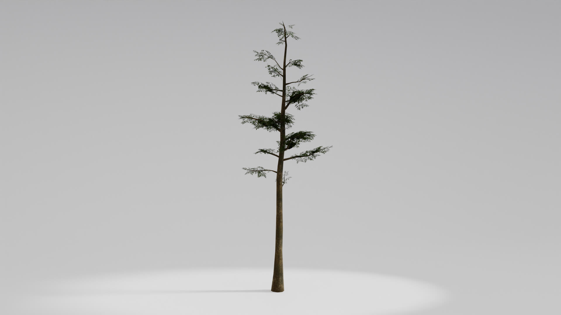 Resident Evil Tropical Plant 3D Model
