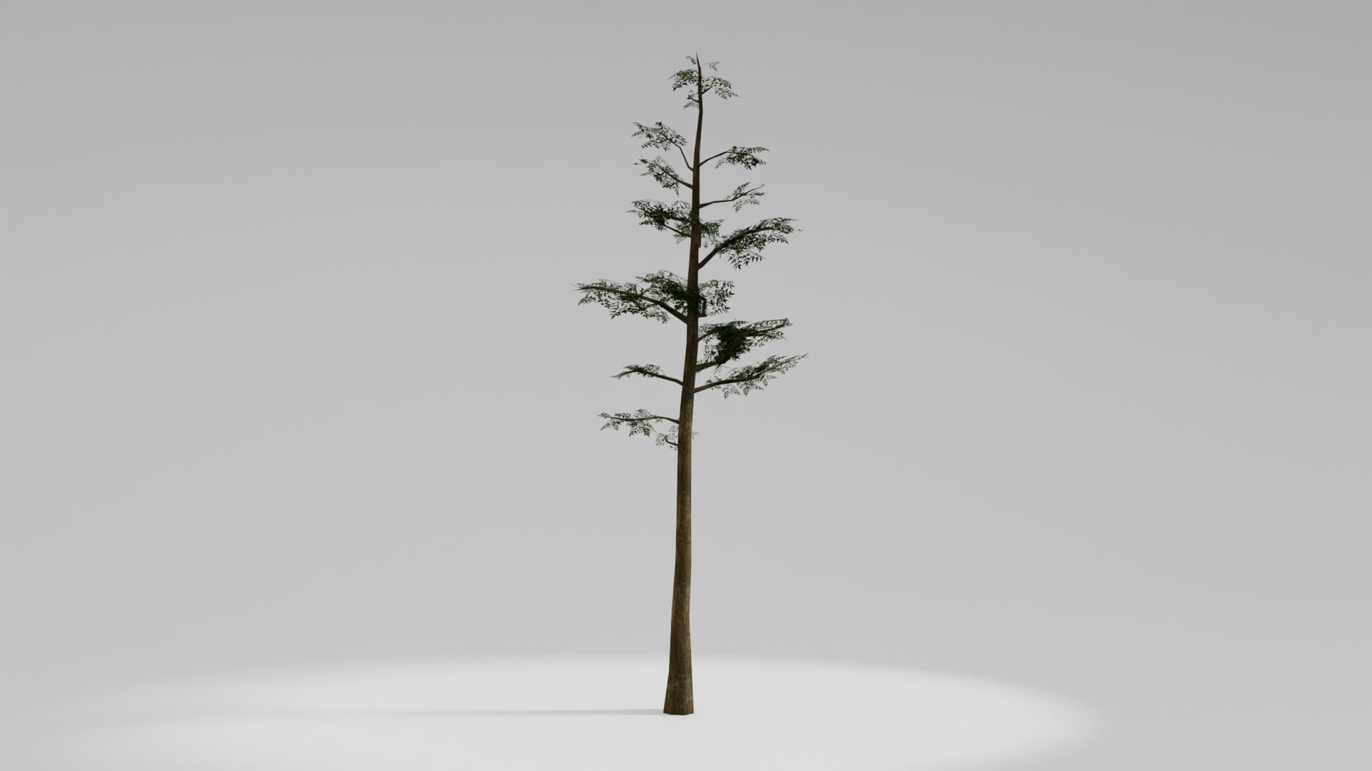 Resident Evil Tropical Plant 3D Model