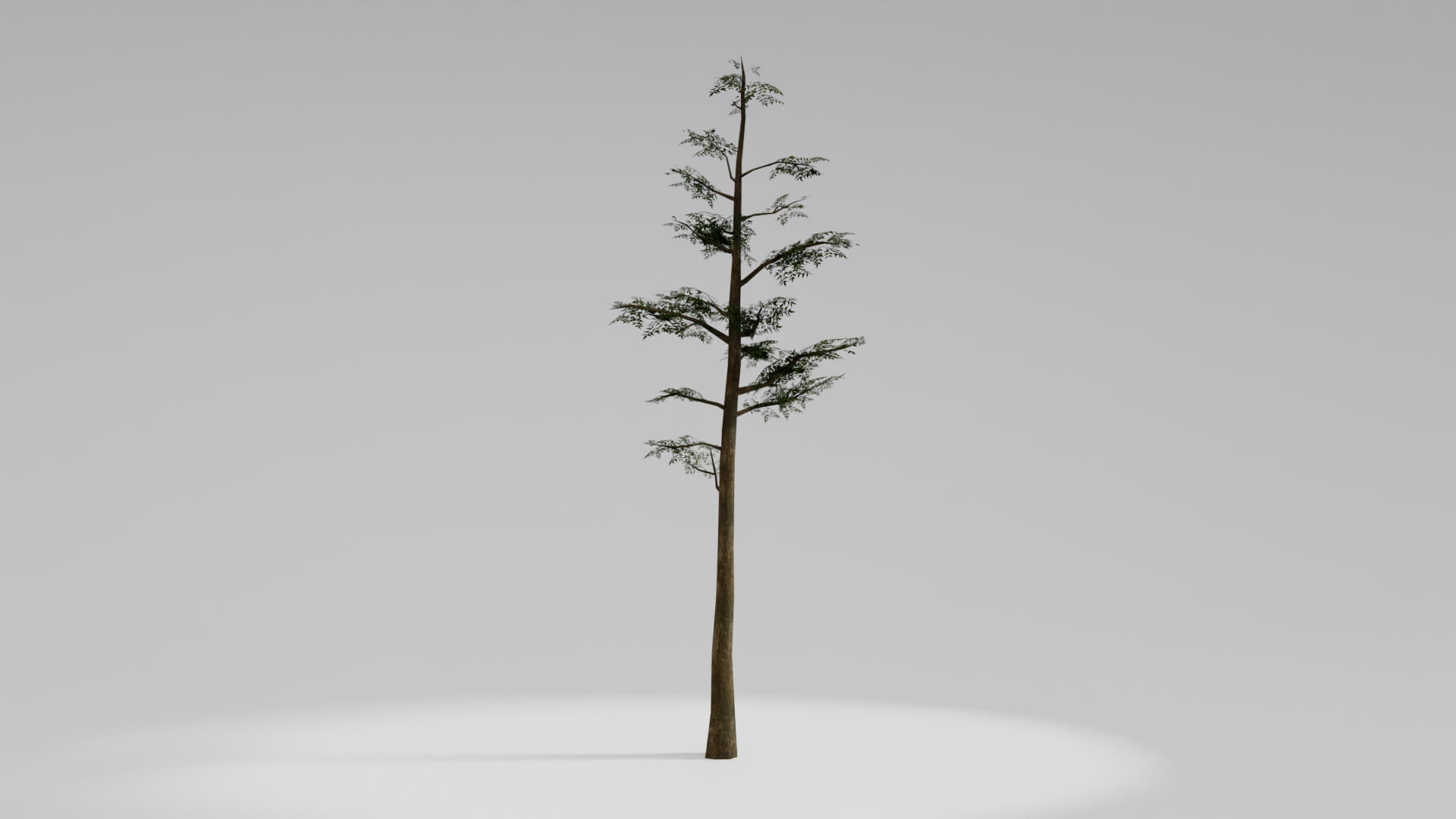 Resident Evil Tropical Plant 3D Model
