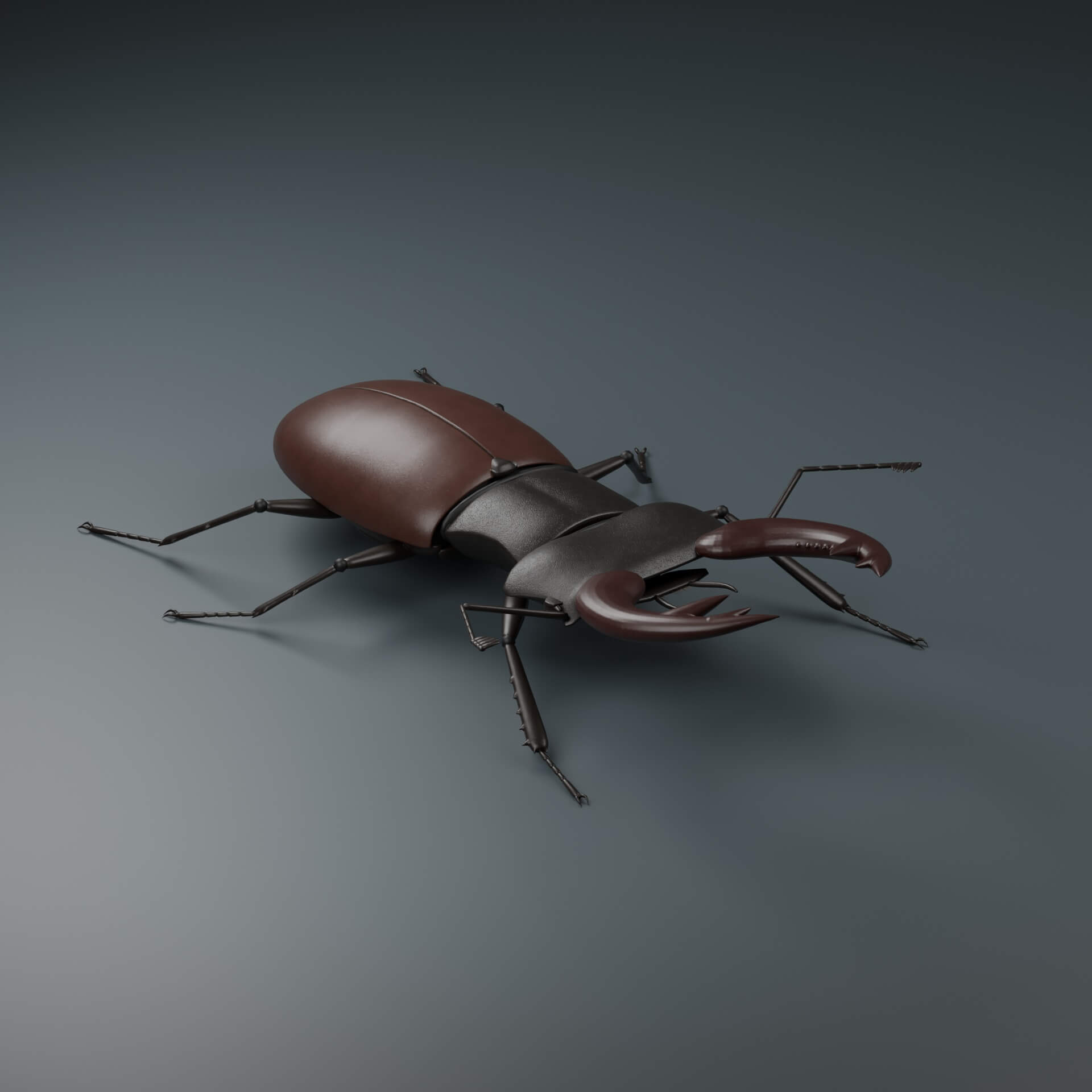 Lucanus cervus - Male - Rigged 3D Animal 3D Model