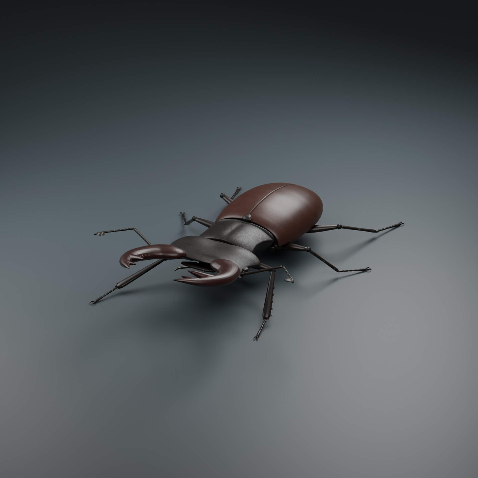 Lucanus cervus - Male - Rigged 3D Animal 3D Model