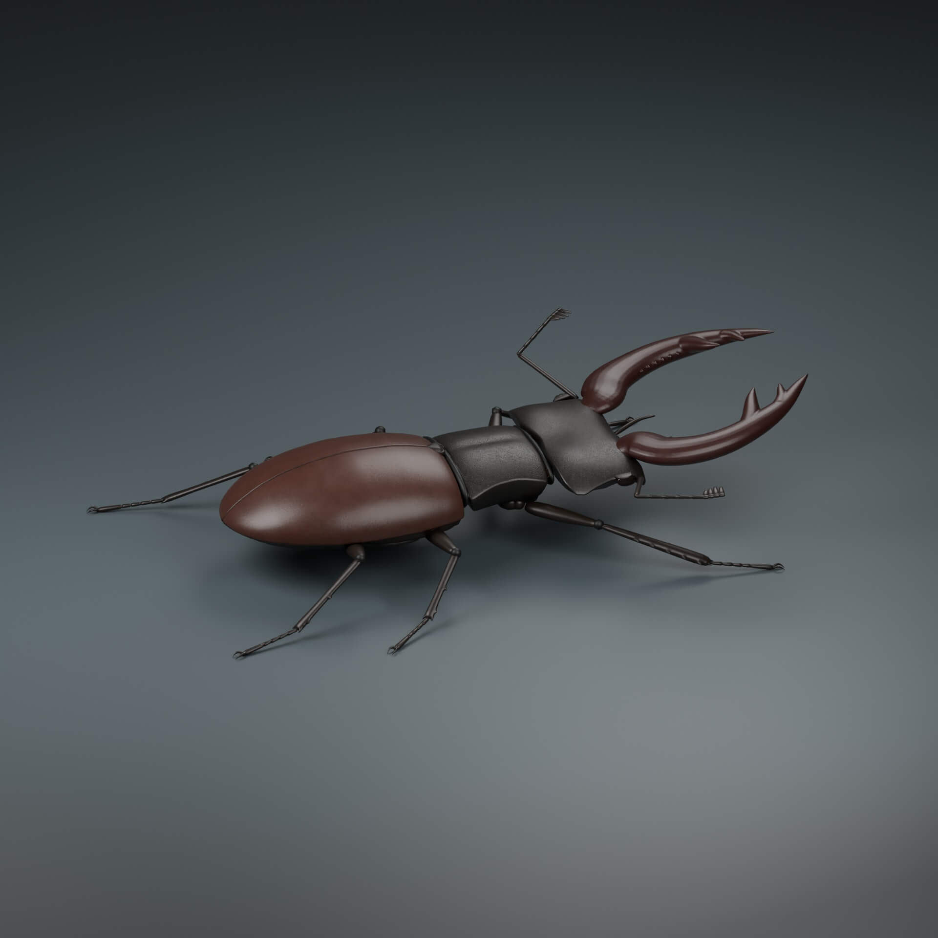 Lucanus cervus - Male - Rigged 3D Animal 3D Model