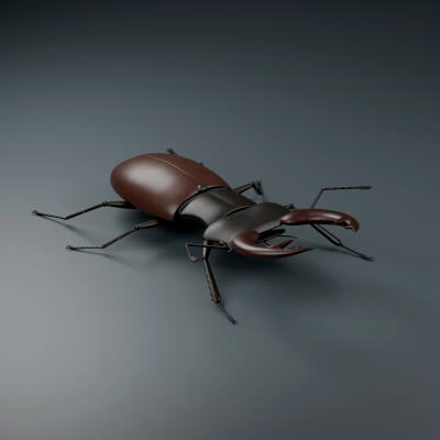 Lucanus cervus - Male - Rigged 3D Animal