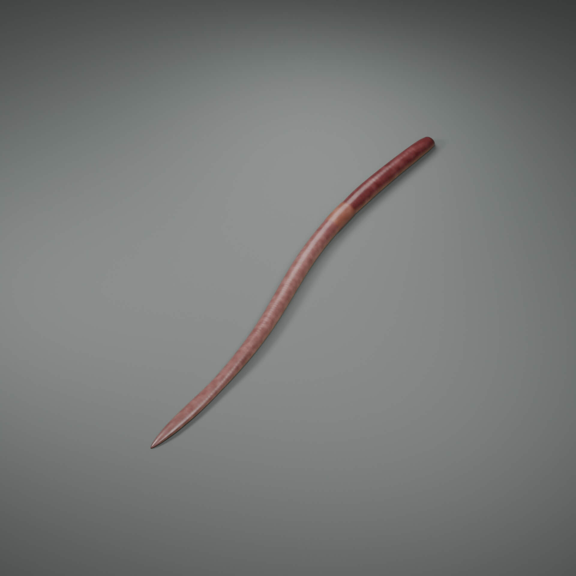 Lumbricus Terrestris - Rigged 3D Animal 3D Model