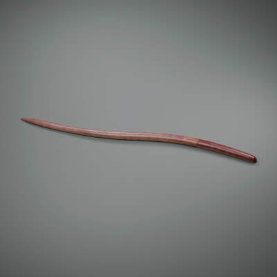 Lumbricus Terrestris - Rigged 3D Animal