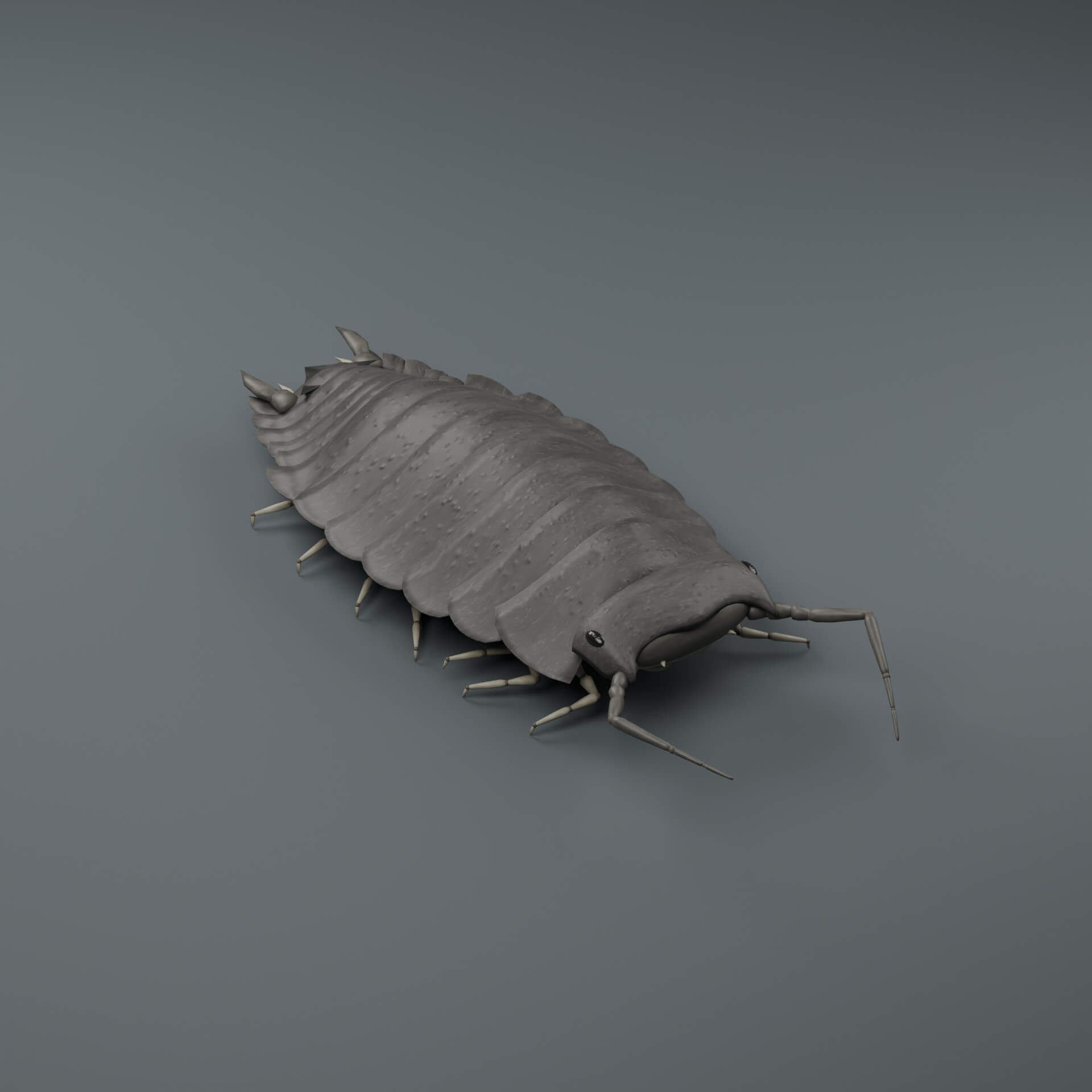 Porcellio Scaber - Rigged 3D Animal 3D Model