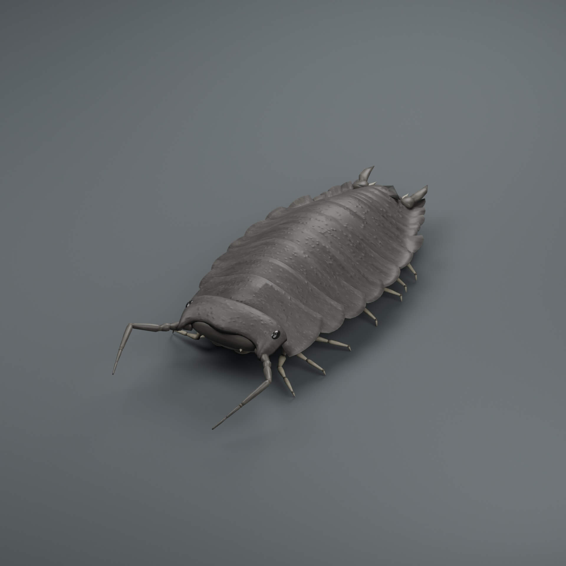 Porcellio Scaber - Rigged 3D Animal 3D Model