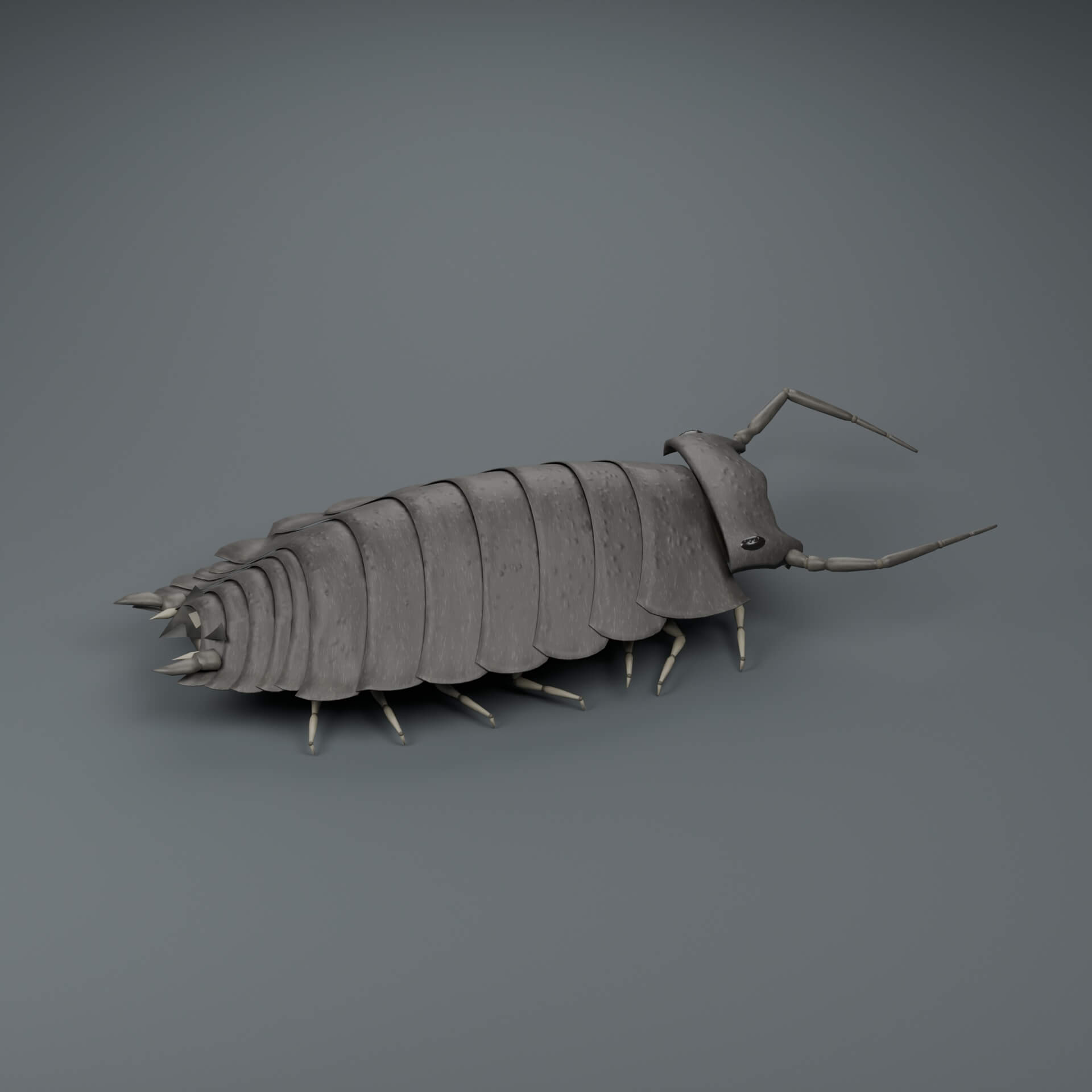 Porcellio Scaber - Rigged 3D Animal 3D Model