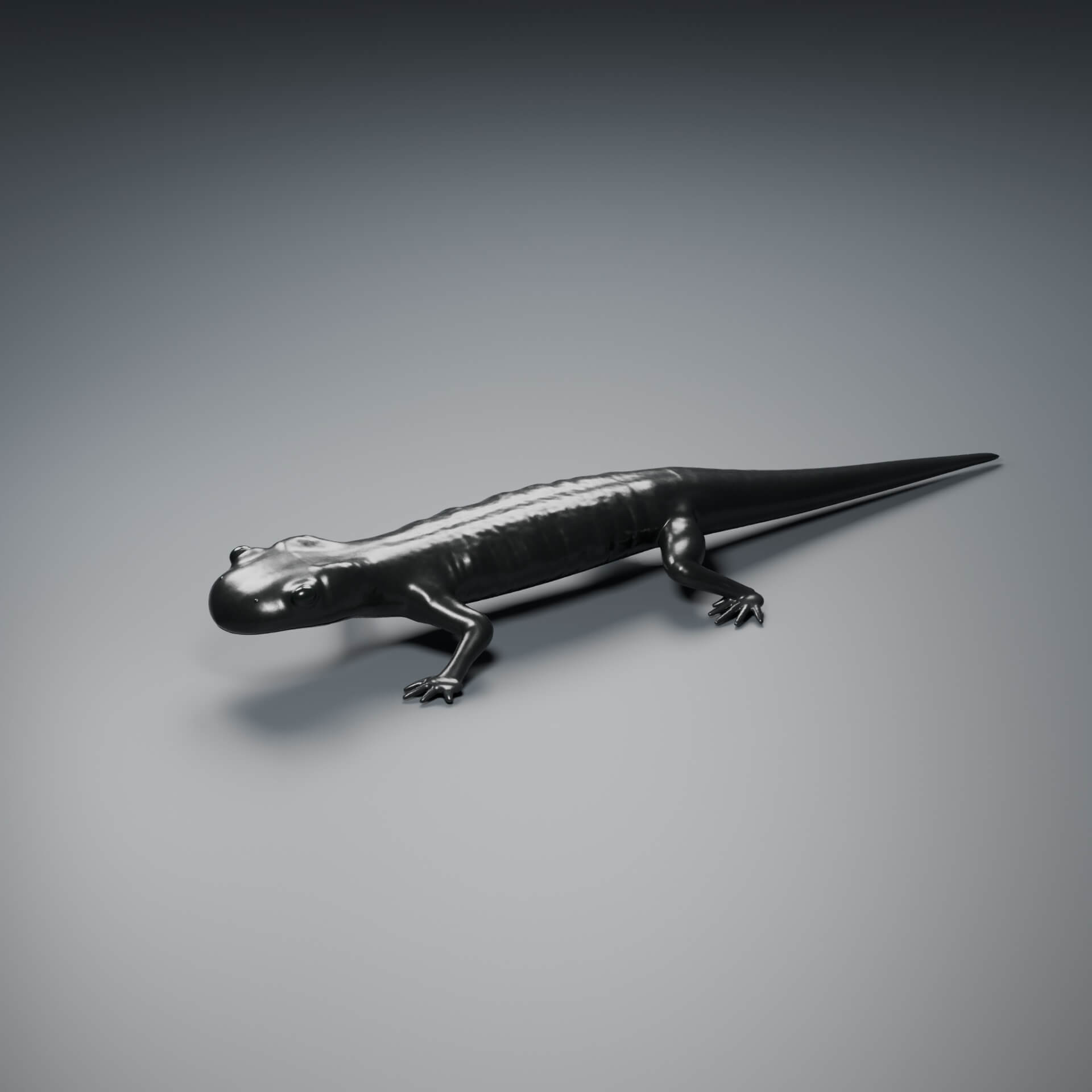 Salamandra atra - Rigged 3D Animal 3D Model