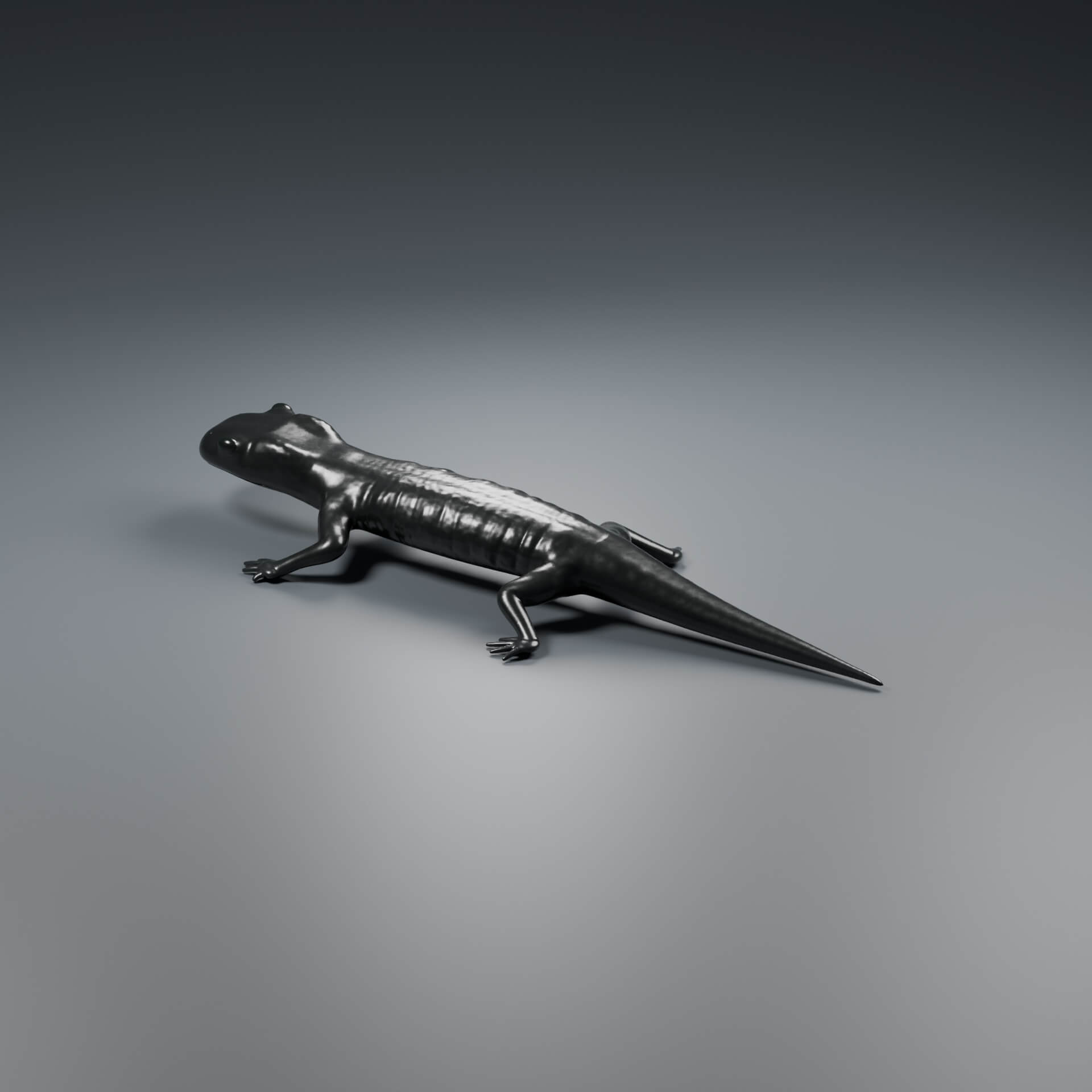 Salamandra atra - Rigged 3D Animal 3D Model