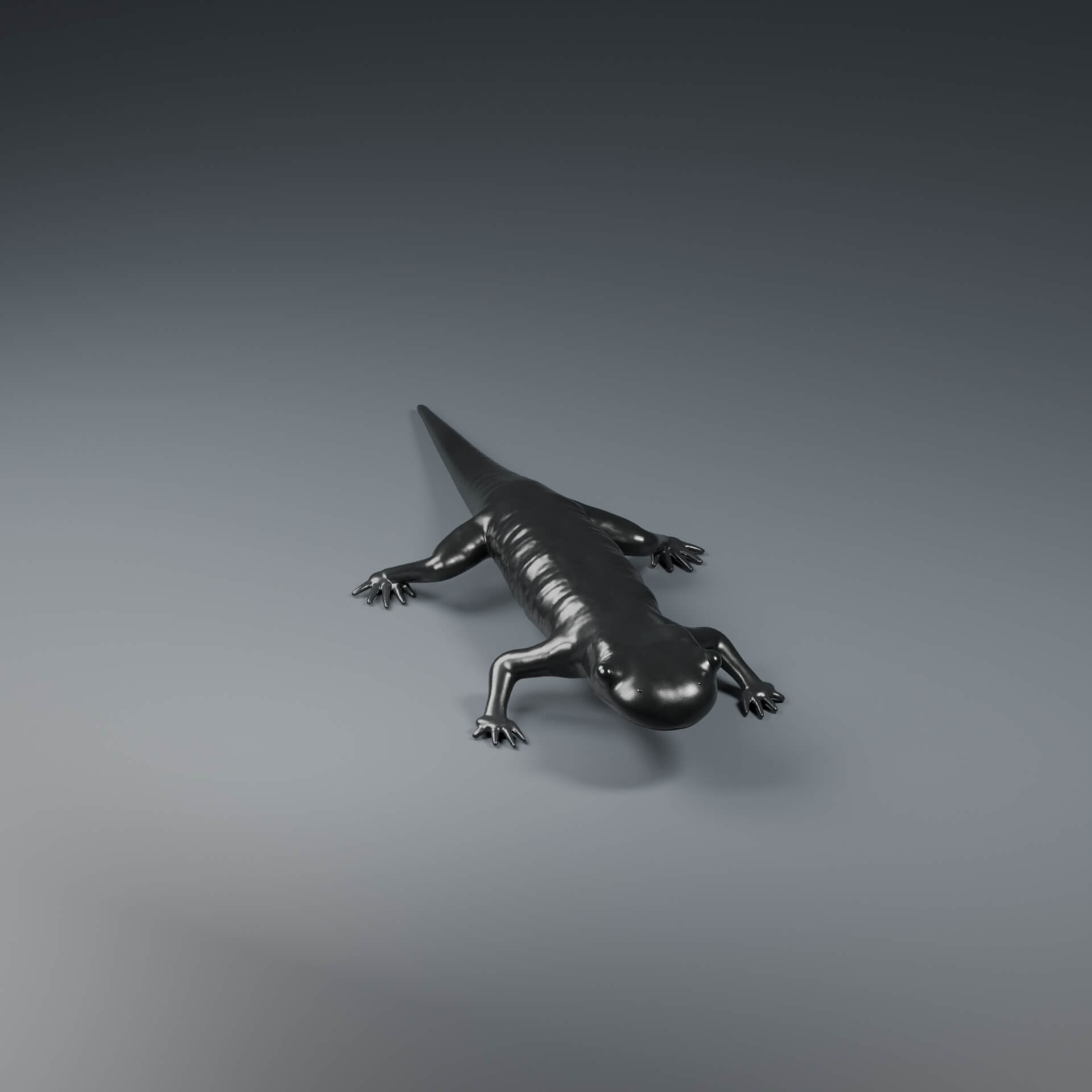 Salamandra atra - Rigged 3D Animal 3D Model