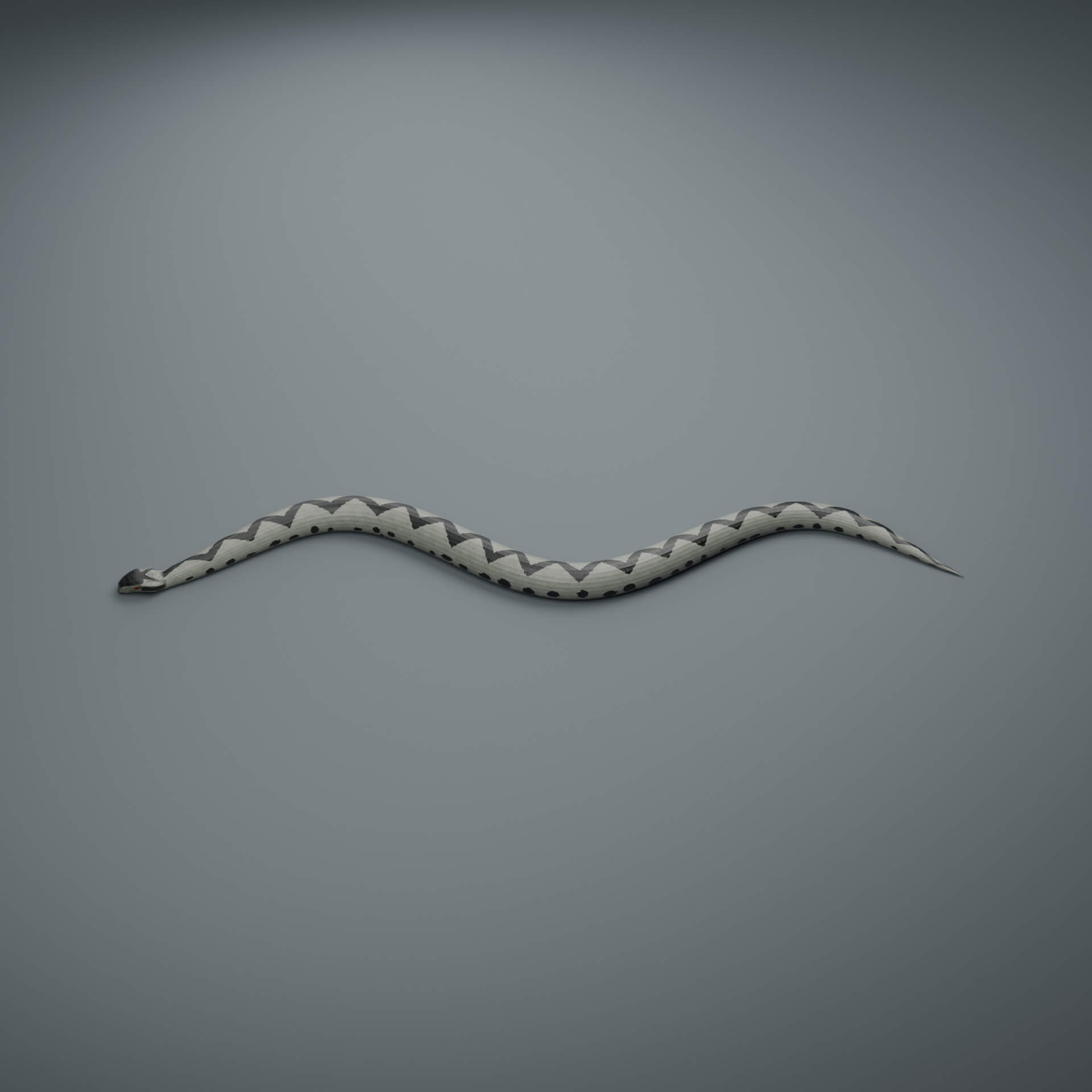 Vipera Berus - Male - Rigged 3D Animal 3D Model