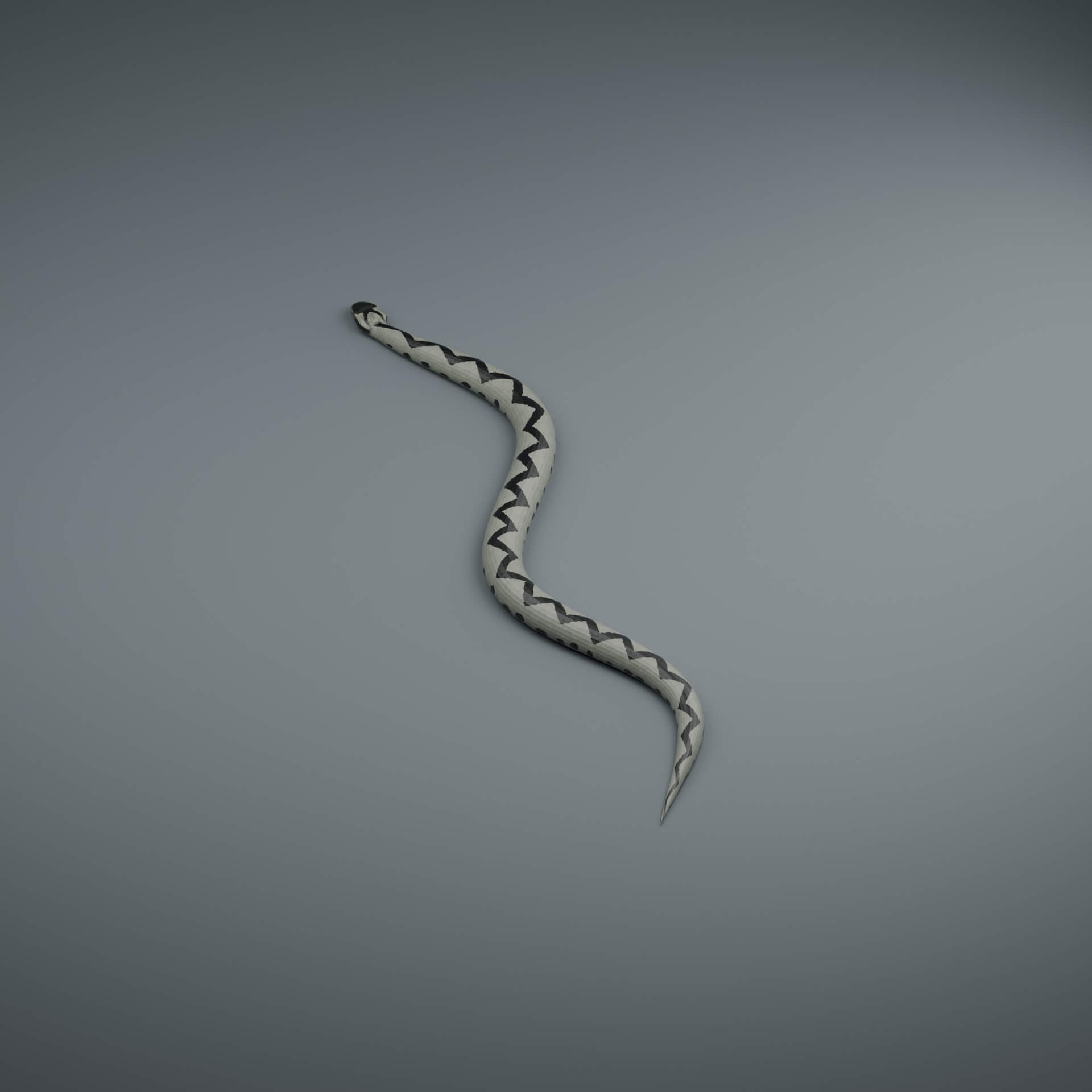 Vipera Berus - Male - Rigged 3D Animal 3D Model