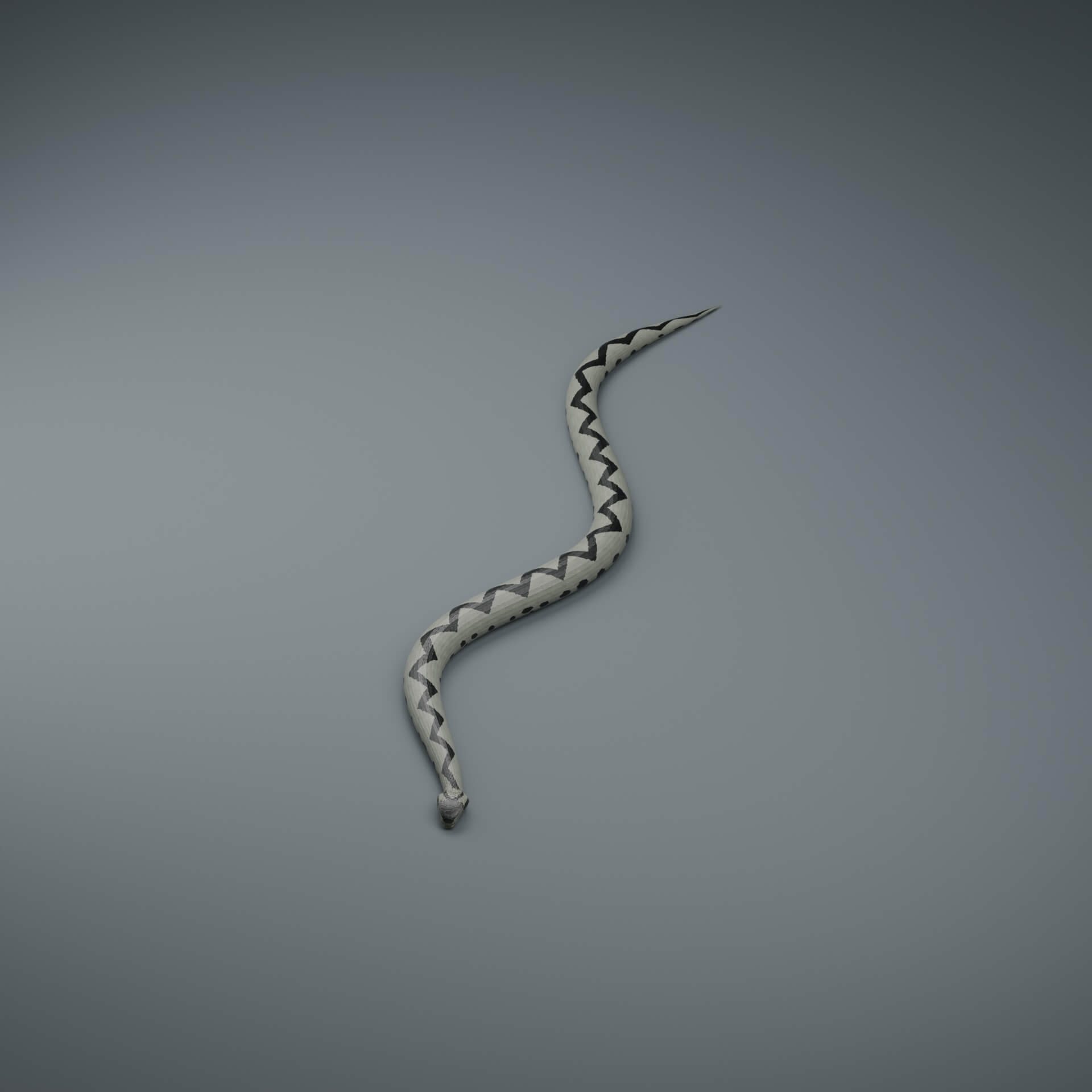 Vipera Berus - Male - Rigged 3D Animal 3D Model