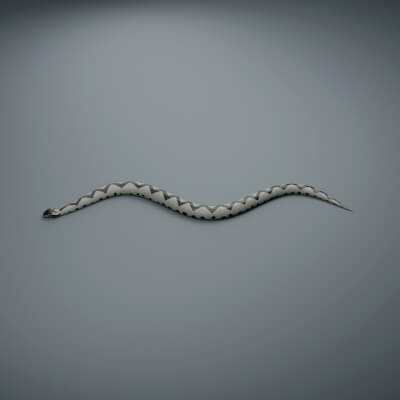 Vipera Berus - Male - Rigged 3D Animal
