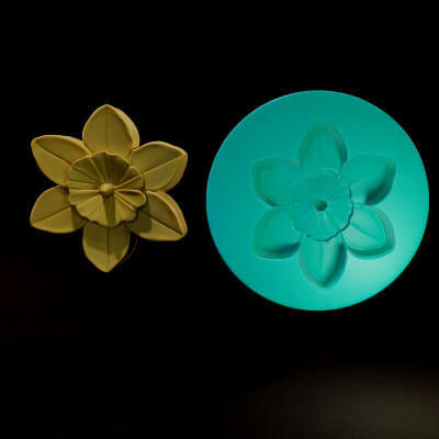Botanical Daffodil Flower and Casting Mold