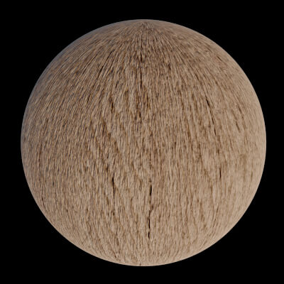 Larch Seamless Texture v3
