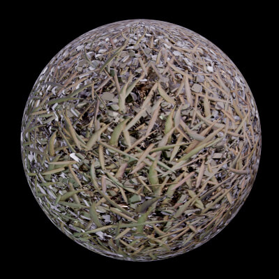 Magic Dust and Sawdust Seamless Texture