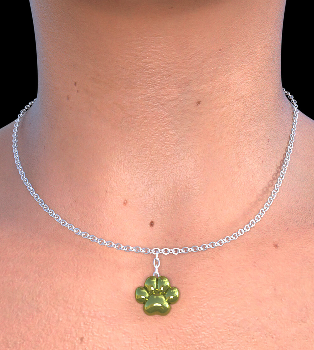 Genesis 9 Necklaces Daz Content