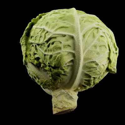 Cabbage Vegetable