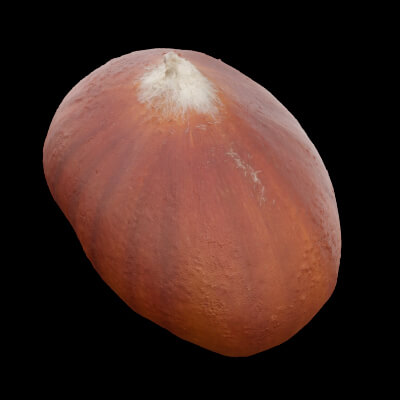 Chestnut Food