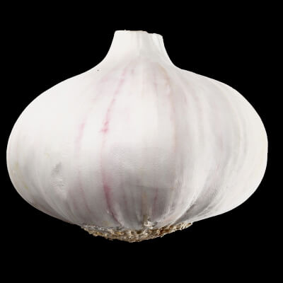 Garlic Vegetable