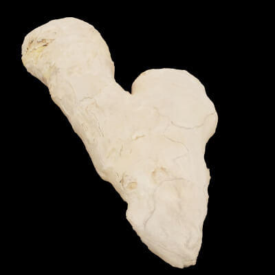 Ginger Vegetable