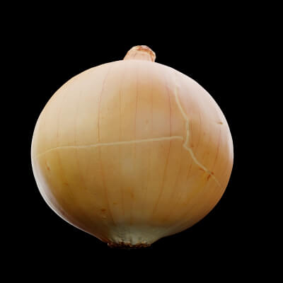 Onion Vegetable