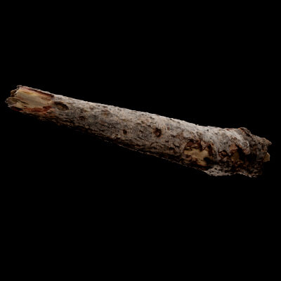 Pine Wood Debris