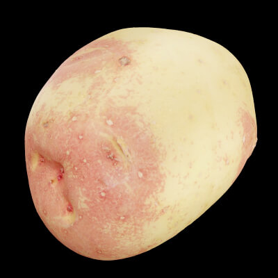 Potato Vegetable