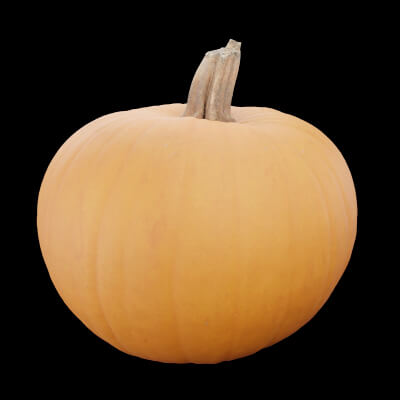 Pumpkin Fruit