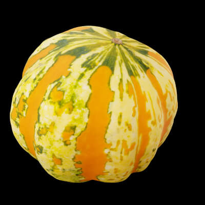 Pumpkin Fruit