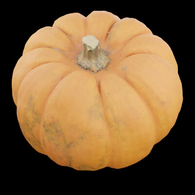 Pumpkin Fruit