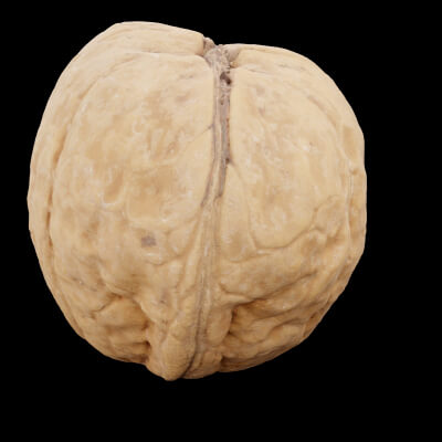 Walnut Nuts Food