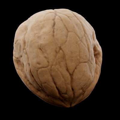 Walnut Nuts Food