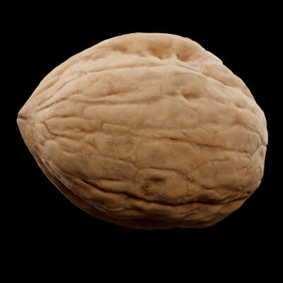 Walnut Nuts Food