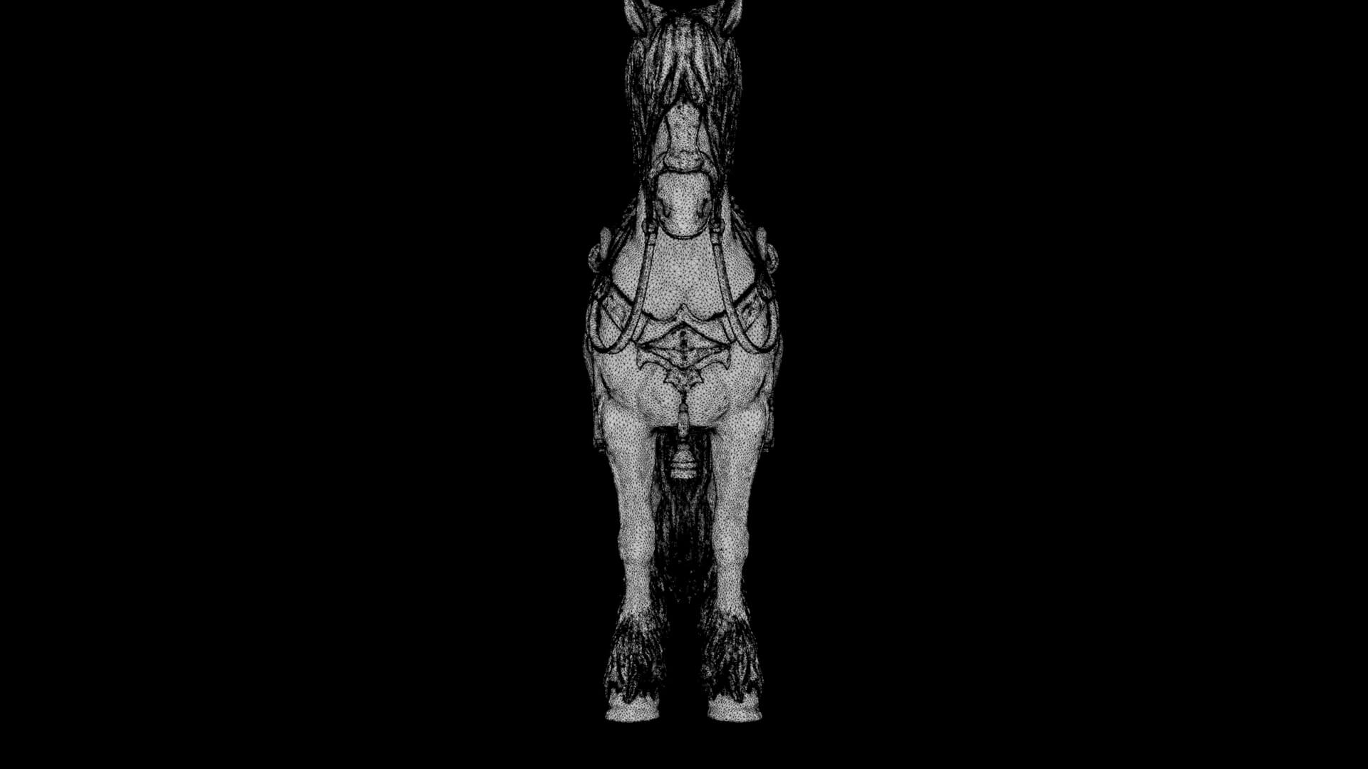 Horse 3D Model 3D Model