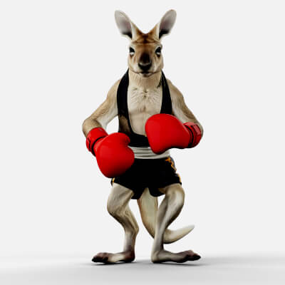 Kangaroo Boxer