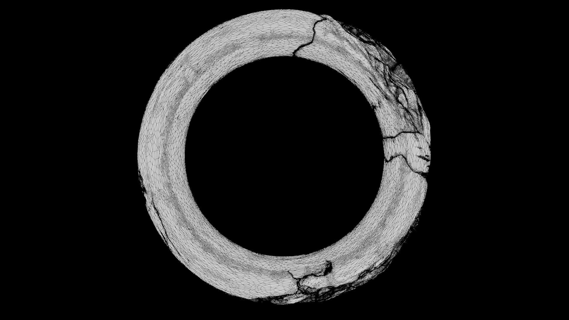 Kintsugi Ring 3D Model