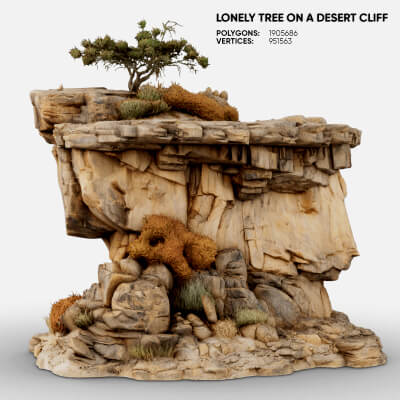 Lonely Tree on a Desert Cliff