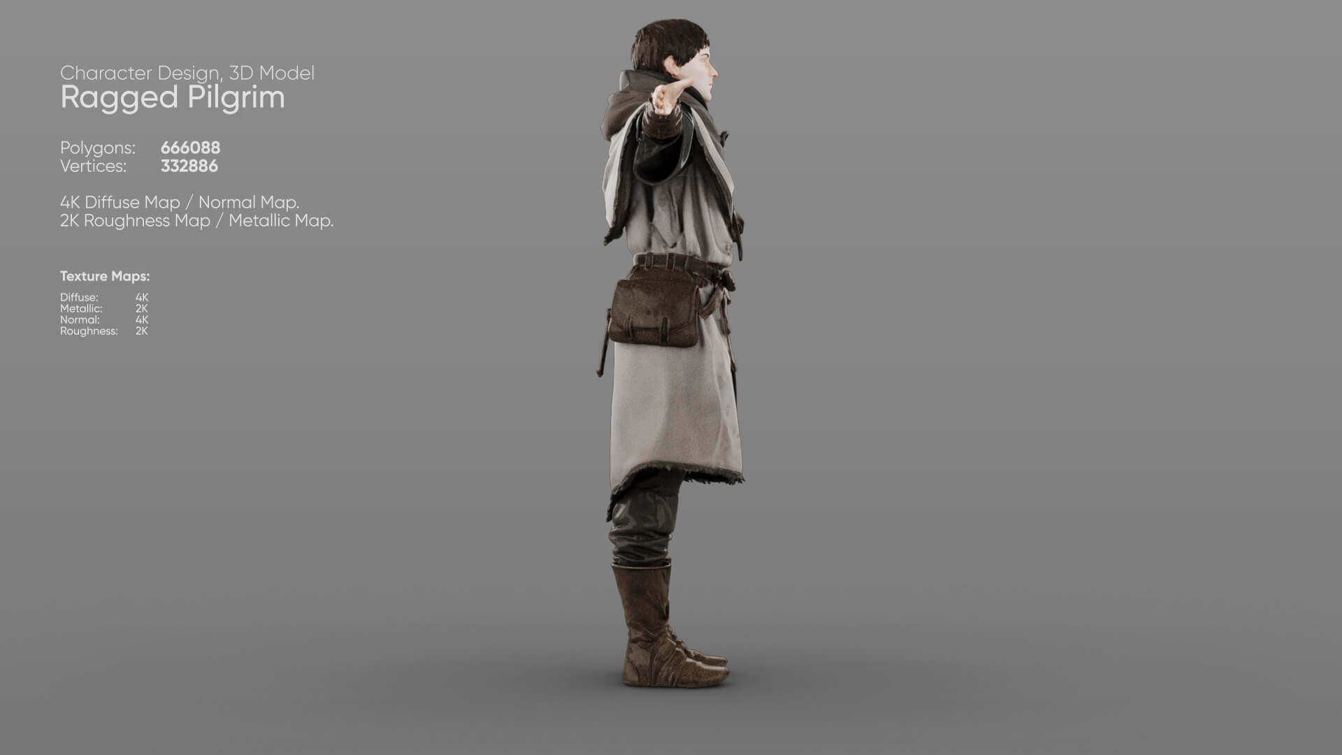 Ragged Pilgrim 3D Model