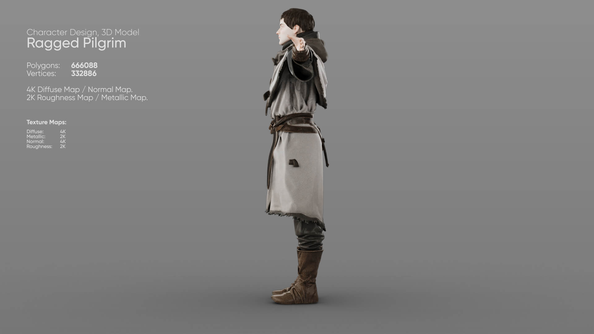 Ragged Pilgrim 3D Model