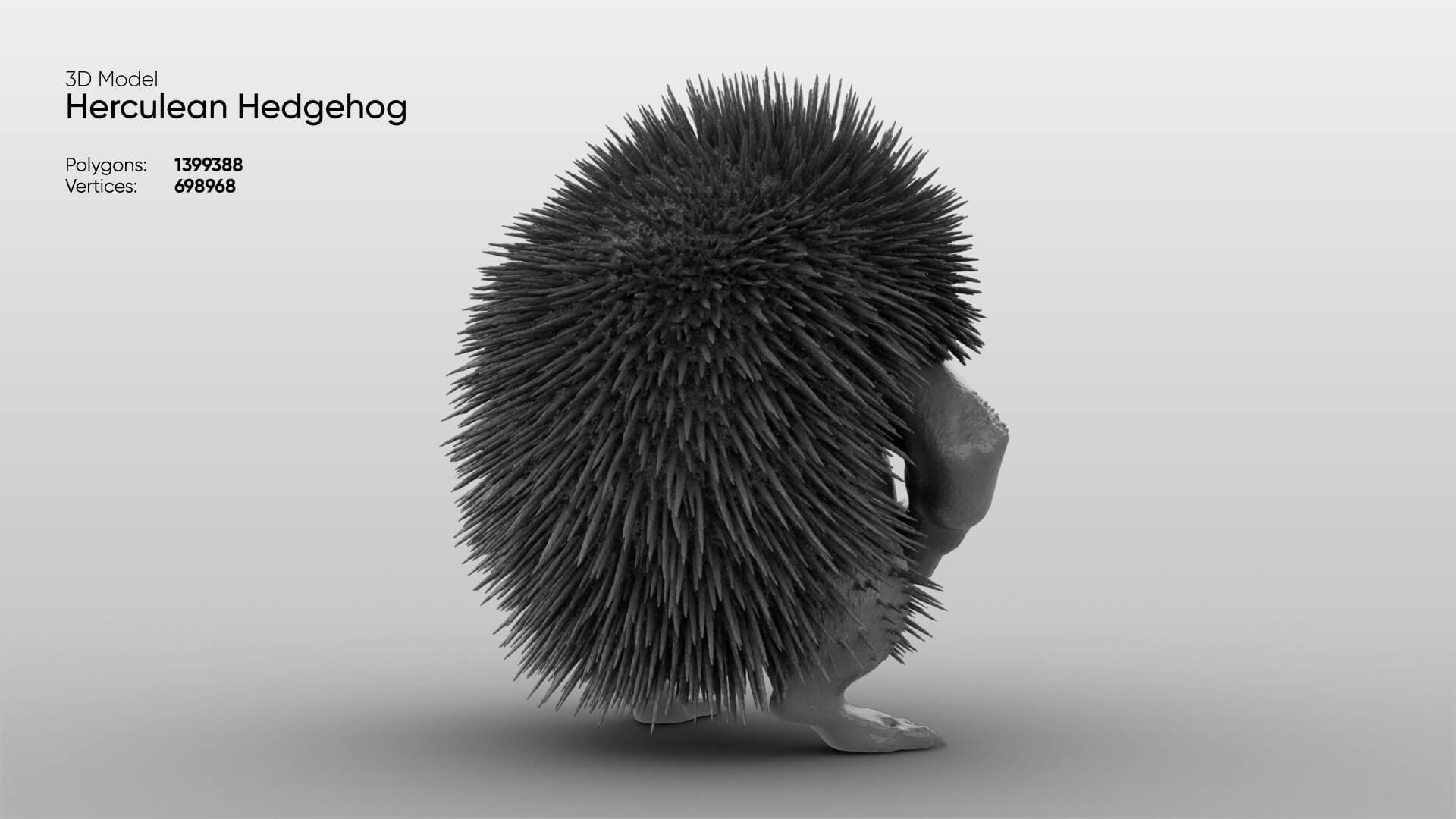 Toy - Herculean Hedgehog 3D Model