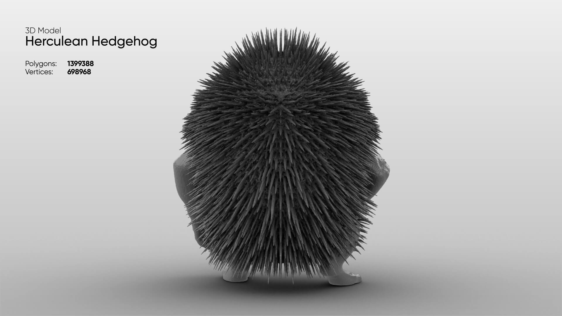 Toy - Herculean Hedgehog 3D Model