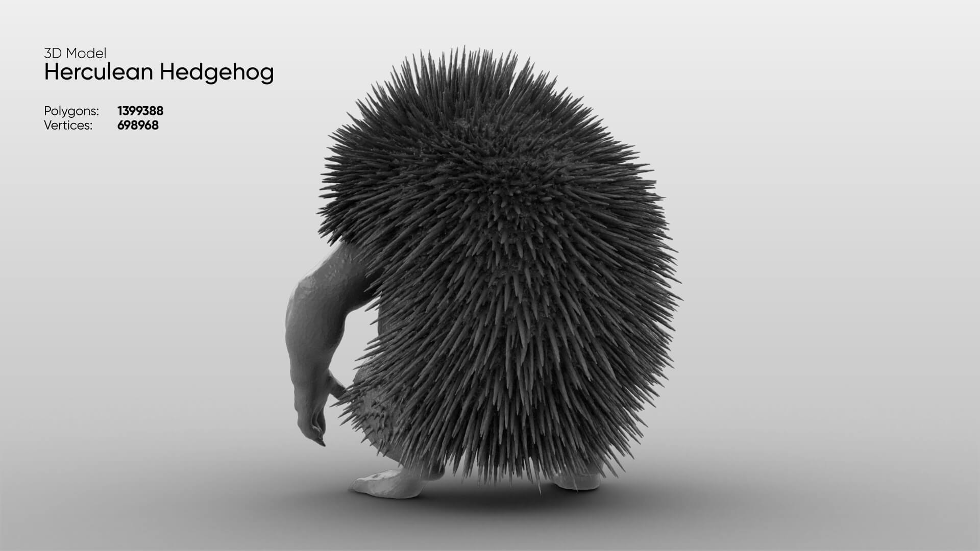 Toy - Herculean Hedgehog 3D Model