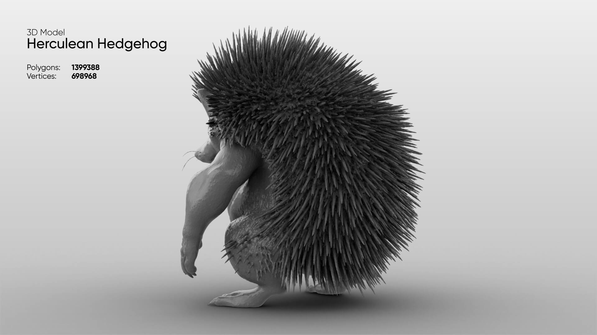 Toy - Herculean Hedgehog 3D Model